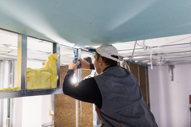 Best Insulation Maintenance and Repair in Nappanee, IN